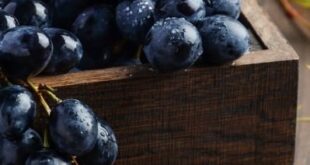 ما هي فوائد العنب الأسود للأطفال؟
