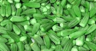 4 طرق لتخزين البامية وحفظها لأطول فترة ممكنة