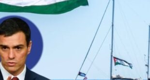 بعد إيطاليا.. إسبانيا تقرر إرسال سفينة حربية لمساندة أسطول الصمود المتجه نحو غزة