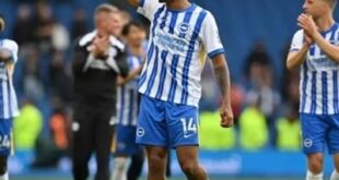 تشكيل برايتون المتوقع ضد تشيلسي في الجولة السادسة من الدوري الإنجليزي