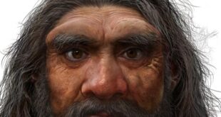 جمجمة عمرها مليون عام تكشف فرضية ظهور أول إنسان عاقل في غرب آسيا