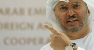 قرقاش: حل الدولتين الخيار الأمثل للسلام العادل بعيداً عن العنف والحروب