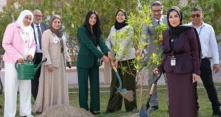 المستشفيات الحكومية تشارك في أسبوع الشجرة بمجمع السلمانية تأكيدا على التزامها بالاستدامة