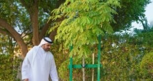 محمد بن سلمان يشارك في فعاليات «أسبوع الشجرة»