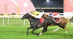 بعد نجاح الأمسية الدولية .. الحماس يتجدد مع كؤوس بورصة البحرين