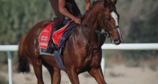 كأس البحرين الدولي يتهيأ بمشاركات عالمية وفعاليات وأجواء استثنائية