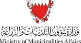 7 أنشطة تُمارَس دون ترخيص بسبب ثغرات نظام «سجلات»