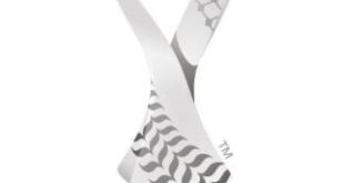 انطلاق منافسات كأس العرب في الدوحة بمواجهة تجمع قطر وفلسطين