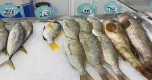 تفاوت شهري بين الأقسام وفروق في مؤشر أسعار المستهلك خلال 2025