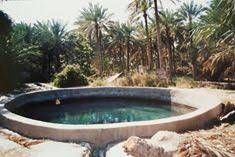 عيون البحرين.. إرث مائي يعد البحرين بترسيخها مقصداً سياحياً وبيئياً