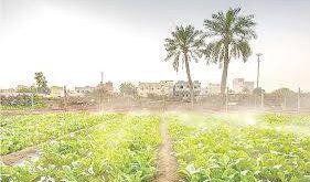 سوق الزراعة في البحرين بين الاستدامة وتعظيم القيمة.. نمو متدرّج حتى 2031