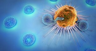 فاطمة متروك: فبراير شهر الأمل والوعي ضد السرطان